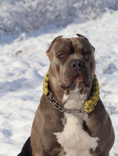 4908DC3C-0E14-4A09-894A-CF685D5FD221