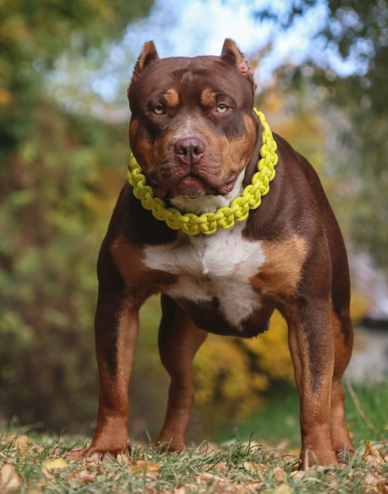 49A6C3D6-20BA-4A63-8B9E-46B80AEF78A2