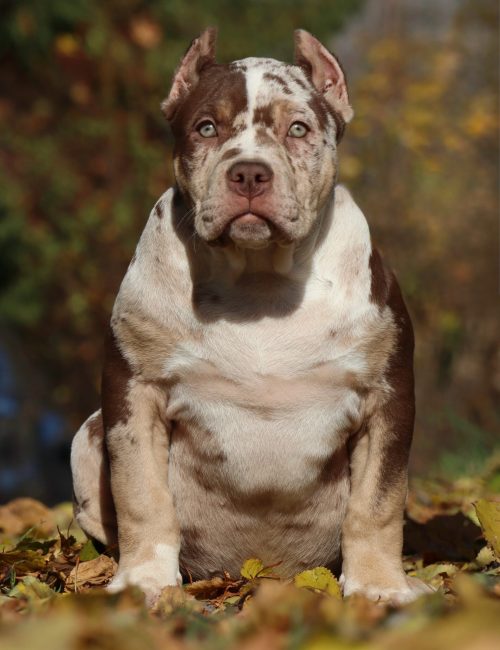 ACC6A31F-1D84-4879-8174-E32EB969DB4B