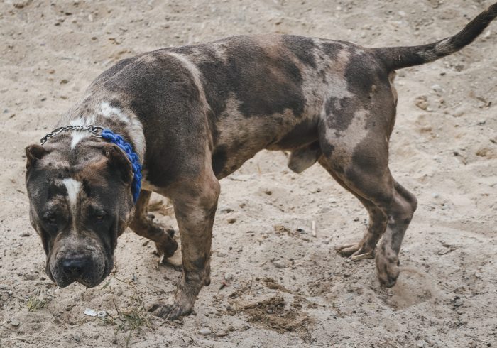 B69CC8B8-2DE9-435A-B97C-003F70851D85