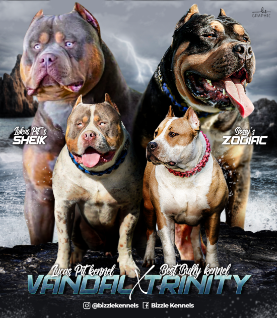 IMG_3082