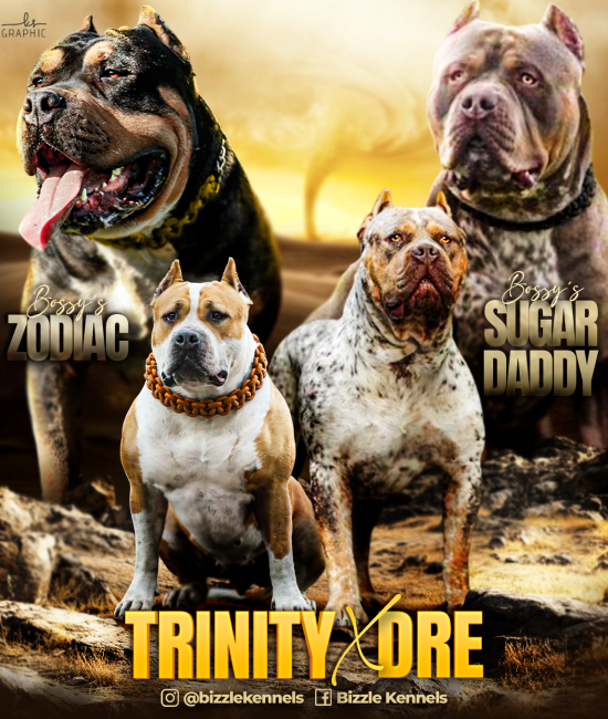 trinity-x-dre trinity-x-dre