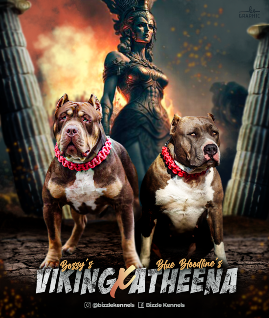 vikingxatheena vikingxatheena